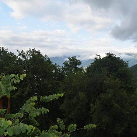 Mars Otel Artvin Exterior photo