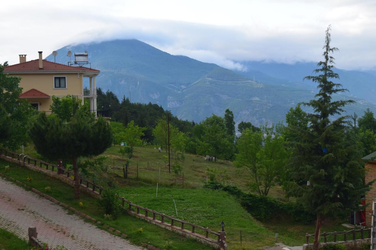 Mars Otel Artvin Exterior photo