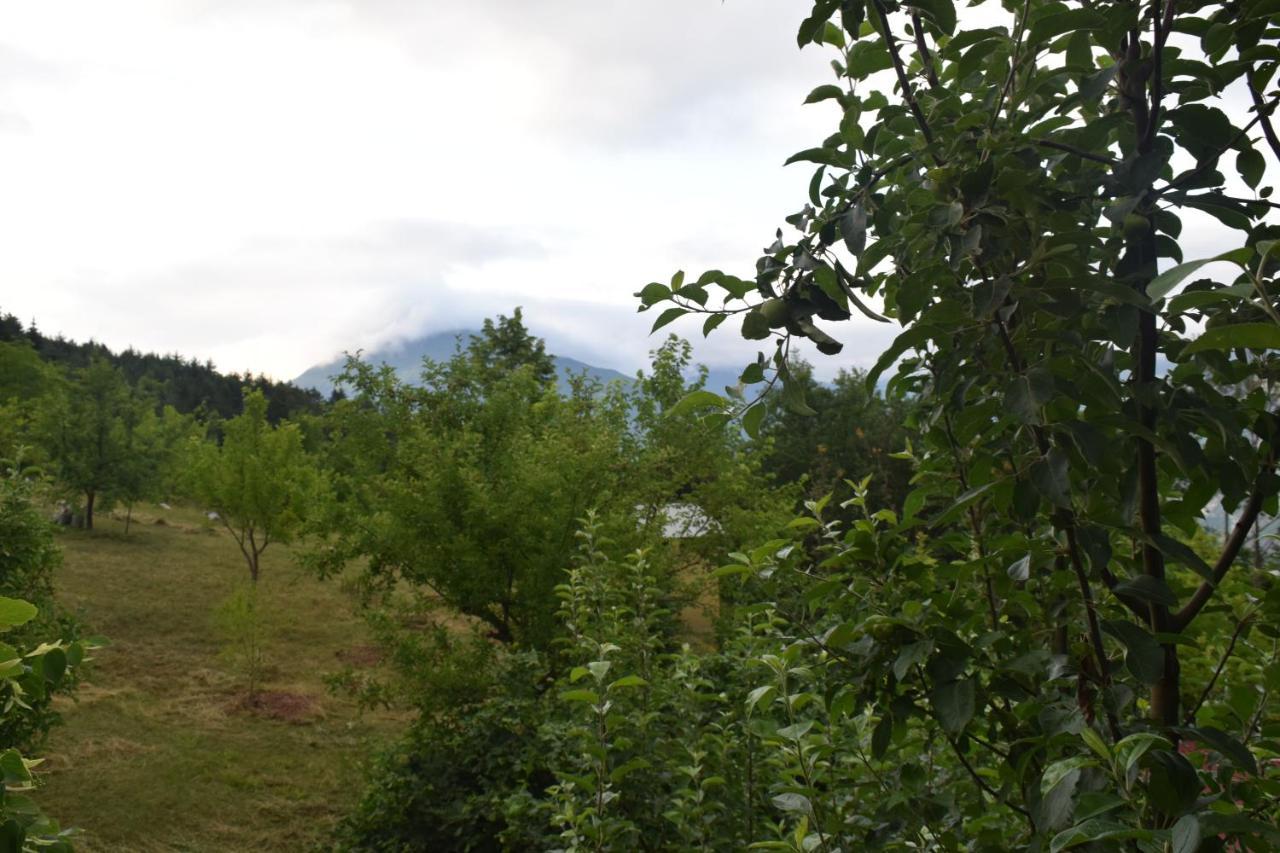 Mars Otel Artvin Exterior photo
