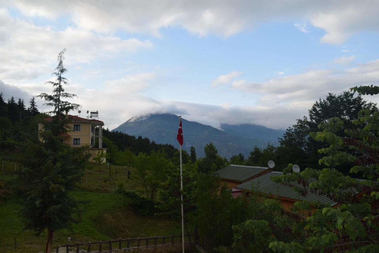 Mars Otel Artvin Exterior photo