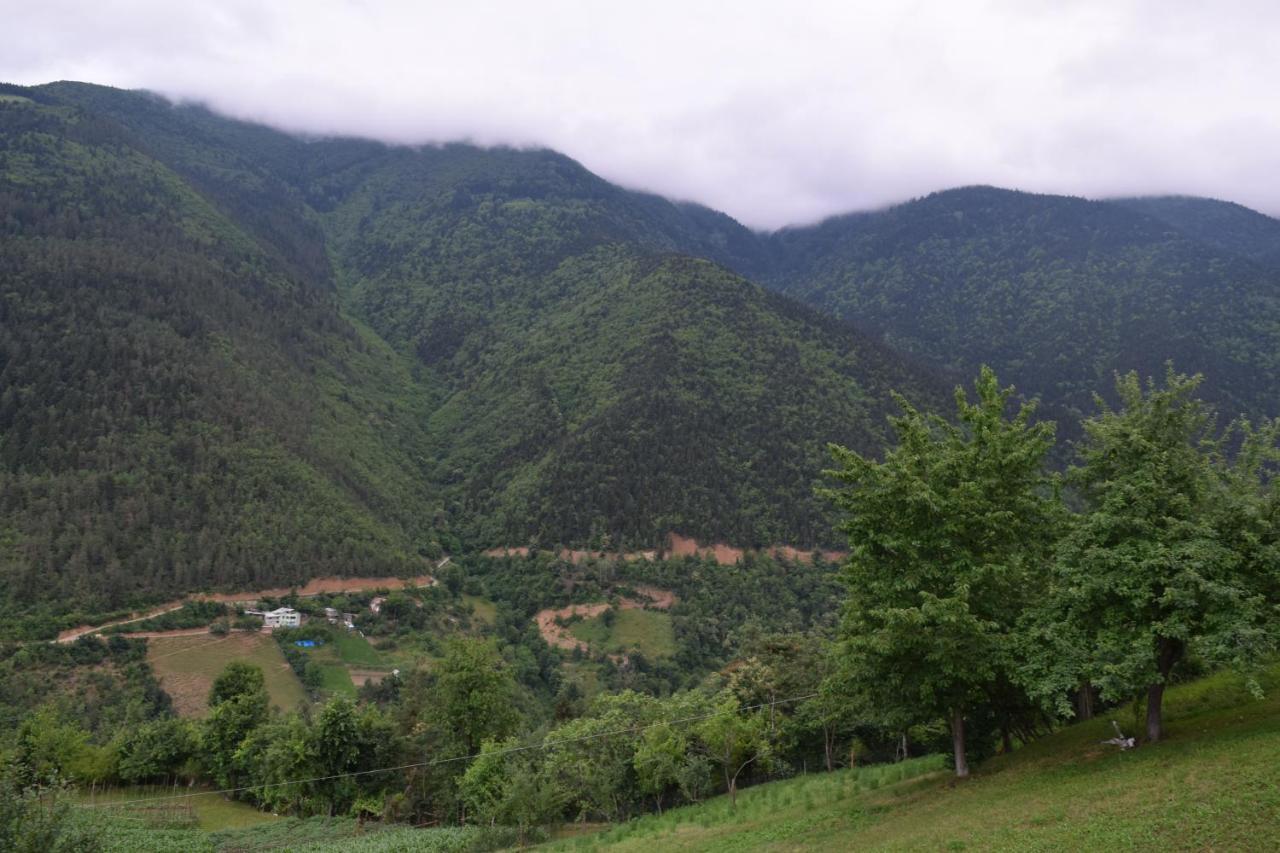 Mars Otel Artvin Exterior photo