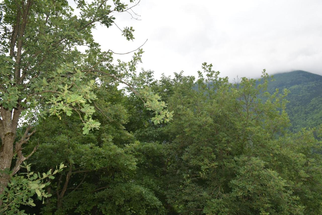 Mars Otel Artvin Exterior photo